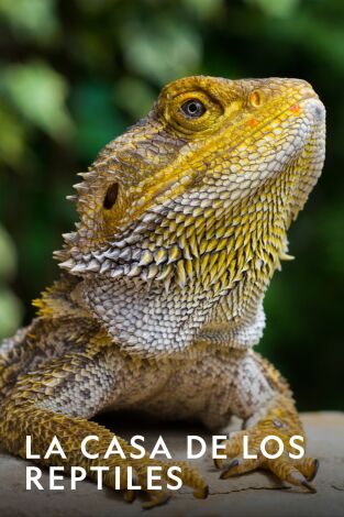 La Casa De Los Reptiles. La Casa De Los Reptiles: Planeta reptil