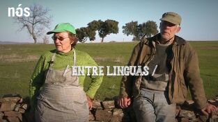 Entre linguas