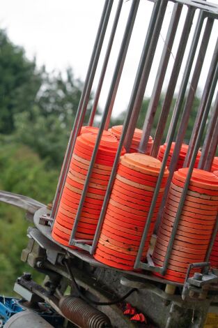 Así se hace. T(T25). Así se hace (T25): Gyotaku