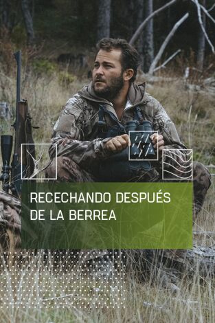 Recechando después de la berrea