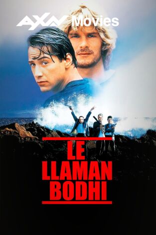 Le llaman Bodhi