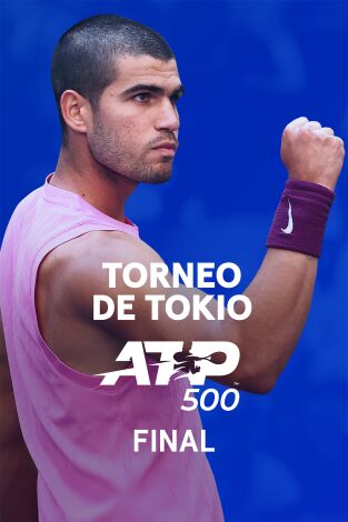 Final. Final: Alcaraz - Fritz