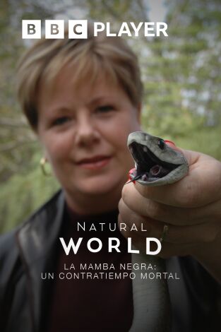 La mamba negra: un problema letal