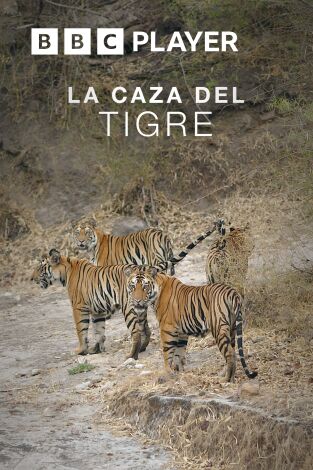 La caza del tigre