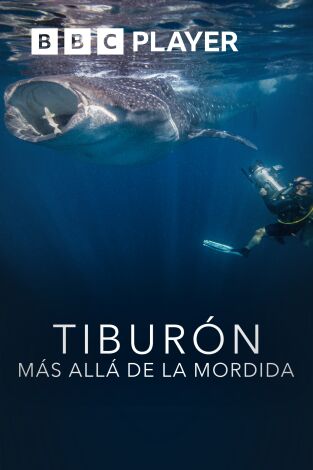 Tiburón: más allá de la mordida