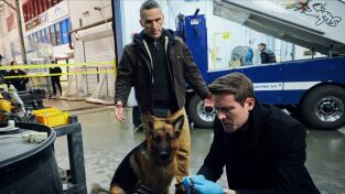 Hudson & Rex. T(T1). Hudson y Rex (T1): Ep.15 Sobre hielo