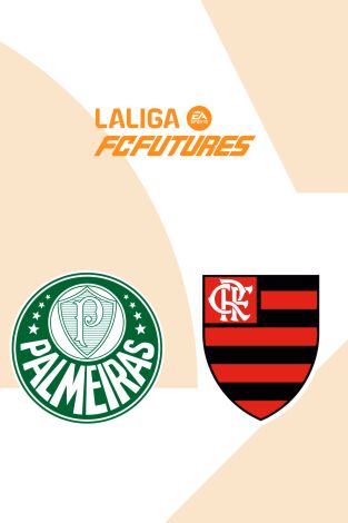 Semifinales. Semifinales: Palmeiras - Flamengo