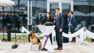 Hudson & Rex. T(T2). Hudson y Rex (T2): Ep.3 Bajo La Influencer