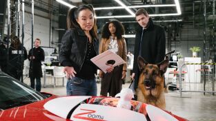 Hudson & Rex. T(T2). Hudson & Rex (T2): Ep.8 Rex Machina