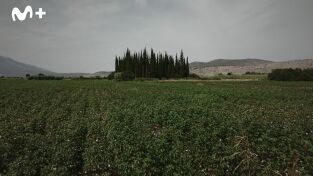 Crónica negra de la Antigua Grecia. Crónica negra de la...: Ep.5