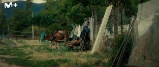 Tor: una historia de Carles Porta. Tor: una historia de...: Rubén y los ingleses