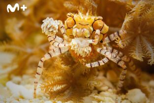 Cómo se hizo Parenthood. Cómo se hizo Parenthood: Ep.2