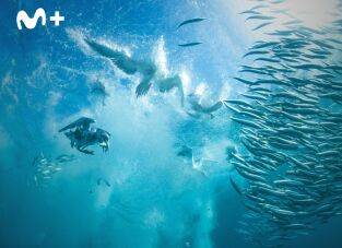 Cómo se hizo Parenthood. Cómo se hizo Parenthood: Ep.4