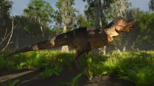 Dinosaurios. Dinosaurios: Tyrannosaurus Rex