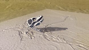 Dinosaurios. Dinosaurios: Caminar como un dinosaurio