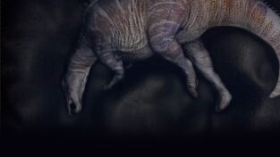 Dinosaurios. Dinosaurios: Dinosaurios gigantes