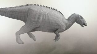 Dinosaurios. Dinosaurios: Bajo la piel