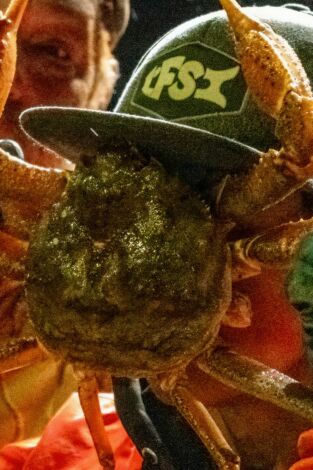 Pesca radical. T(T21). Pesca radical (T21): Cebo para la ira