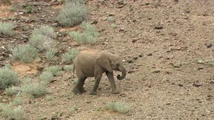 África. África: Desiertos