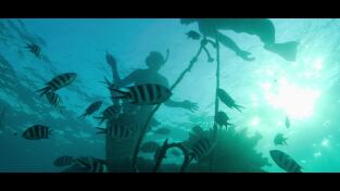 Cambio climático. Cambio climático: Planeta eterno: Héroes de los océanos