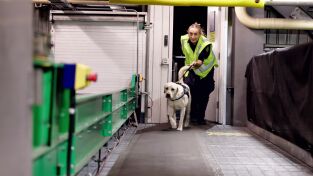 Dentro del aeropuerto de Melbourne. Dentro del aeropuerto...: Alerta máxima