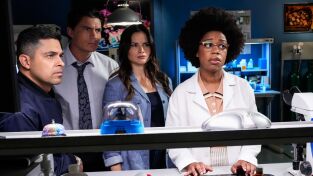 Navy: Investigación Criminal. T(T23). Navy:... (T23): Ep.3 El Ruido y la Furia