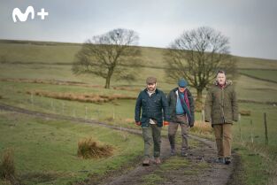 Problemas con papá. T(T2). Problemas con papá (T2): Ep.4 No nos gustan los sigmas