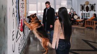 Hudson & Rex. T(T3). Hudson y Rex (T3): Ep.13 Una mansión sobre una colina