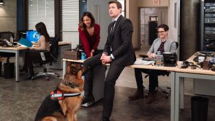 Hudson & Rex. T(T3). Hudson y Rex (T3): Ep.16 El arte de robar