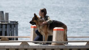 Hudson & Rex. T(T7). Hudson y Rex (T7): Ep.3 Mariscos Para Siempre