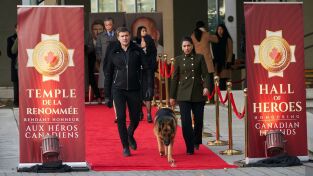 Hudson & Rex. T(T4). Hudson y Rex (T4): Ep.11 Pena de muerte