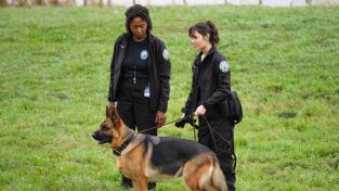 Hudson & Rex. T(T7). Hudson y Rex (T7): Ep.4 K9: La Nueva Generación Rex