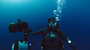 Lo Mejor de Nat Geo. Lo Mejor de Nat Geo: Paul Nicklen y Cristina Mittermeier: Ganar o morir