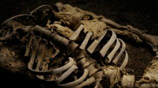 Lo Mejor de Nat Geo. Lo Mejor de Nat Geo: El Hombre de Dätgen: ¿Fantasma al descubierto?