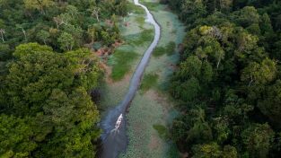 Amazonía. Amazonía: Expedición al amazonas