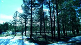 Aliens. Aliens: Abducción en Arizona