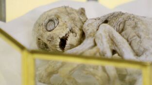 Aliens. Aliens: La granja del bebé extraterrestre