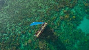 De polo a polo con Will Smith. De polo a polo con...: El Amazonas: criaturas letales