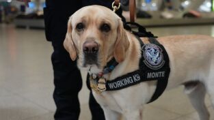 Control de aeropuertos: USA. Control de...: Autopista de alto calibre