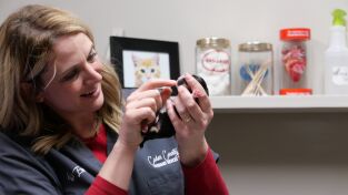 Veterinarios. Veterinarios: El perrito de las praderas