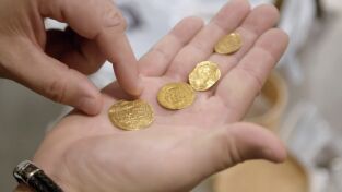 Crimen. Crimen: Sobreviviendo en los 70