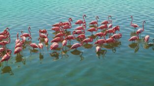 El mes de la Tierra. T(T1). El mes de la Tierra (T1): A vista de pájaro