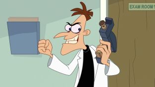 Phineas y Ferb. T(T5). Phineas y Ferb (T5): El chip del veterinario / Más que un becario