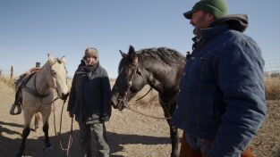 Veterinarios de Nebraska. T(T5). Veterinarios de... (T5): La dama y el "gatabundo"