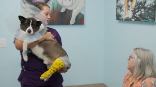 Critter Fixers: Veterinarios rurales 6. Critter Fixers:...: Si el zoológico encaja