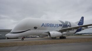 Iconos del cielo. Iconos del cielo: Beluga