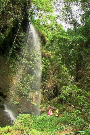 El escarabajo verde. El escarabajo verde: Sombra aquí, sombra allá