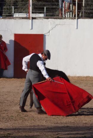 Tierra de toros