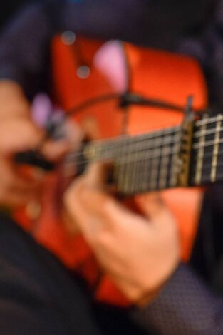 Flamenco Andalucía