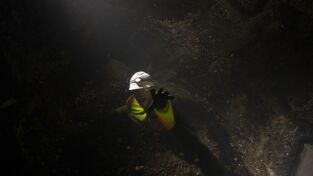 El trabajo casi me mata. El trabajo casi me mata: Bomberos paracaidistas